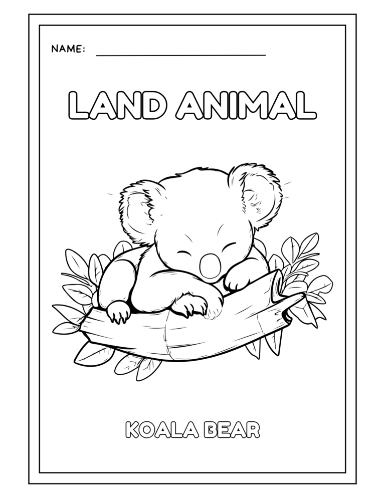 PNG - Land Animals Coloring Activity Worksheet - Koala