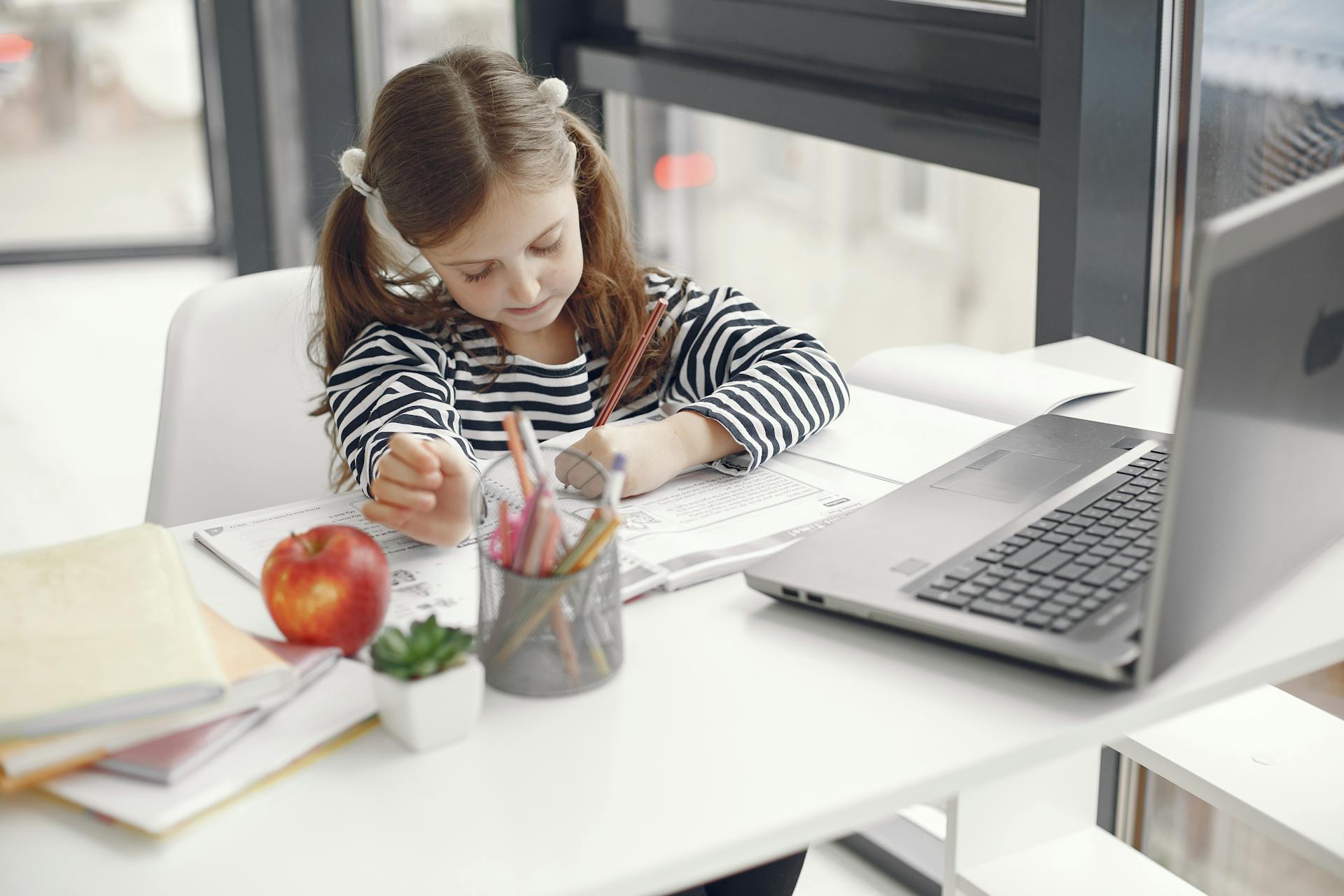 Top 10 Homeschooling Tips for Beginners - Skillful Reader